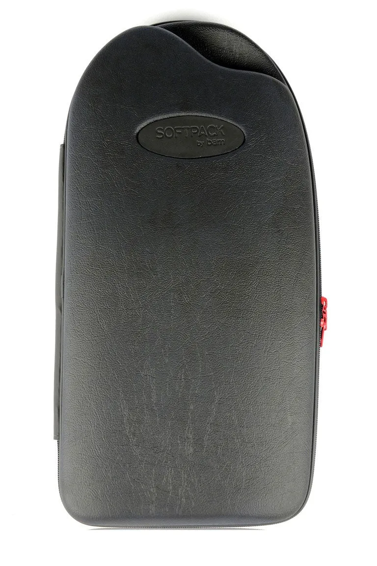 BAM Flute and Piccolo Case