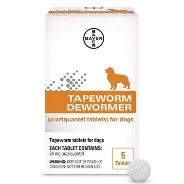 Bayer Tapeworm Dewormer for Dogs