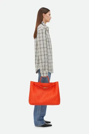 BOTTEGA VENETA | LARGE ANDIAMO