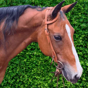 Ezy Ride One Ear Bridle with Stitching
