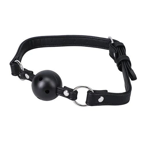 In A Bag Ball Gag