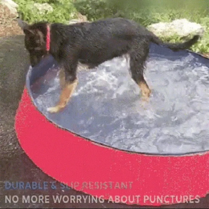 Outdoor Foldable Portable Dog Pool
