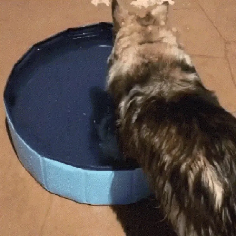 Outdoor Foldable Portable Dog Pool