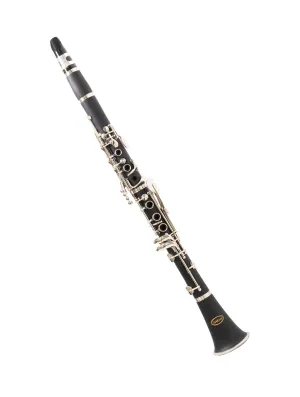 Sakkusu Student Clarinet