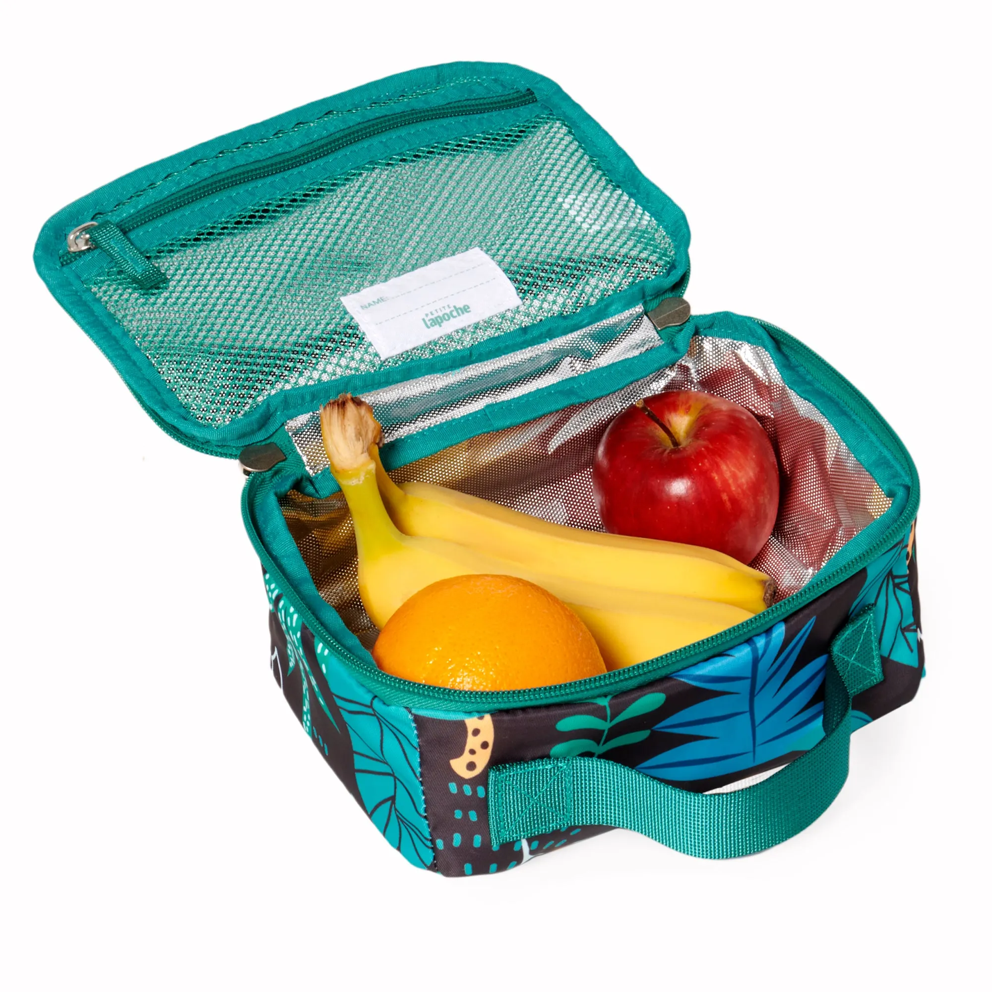 School Pack - jungle