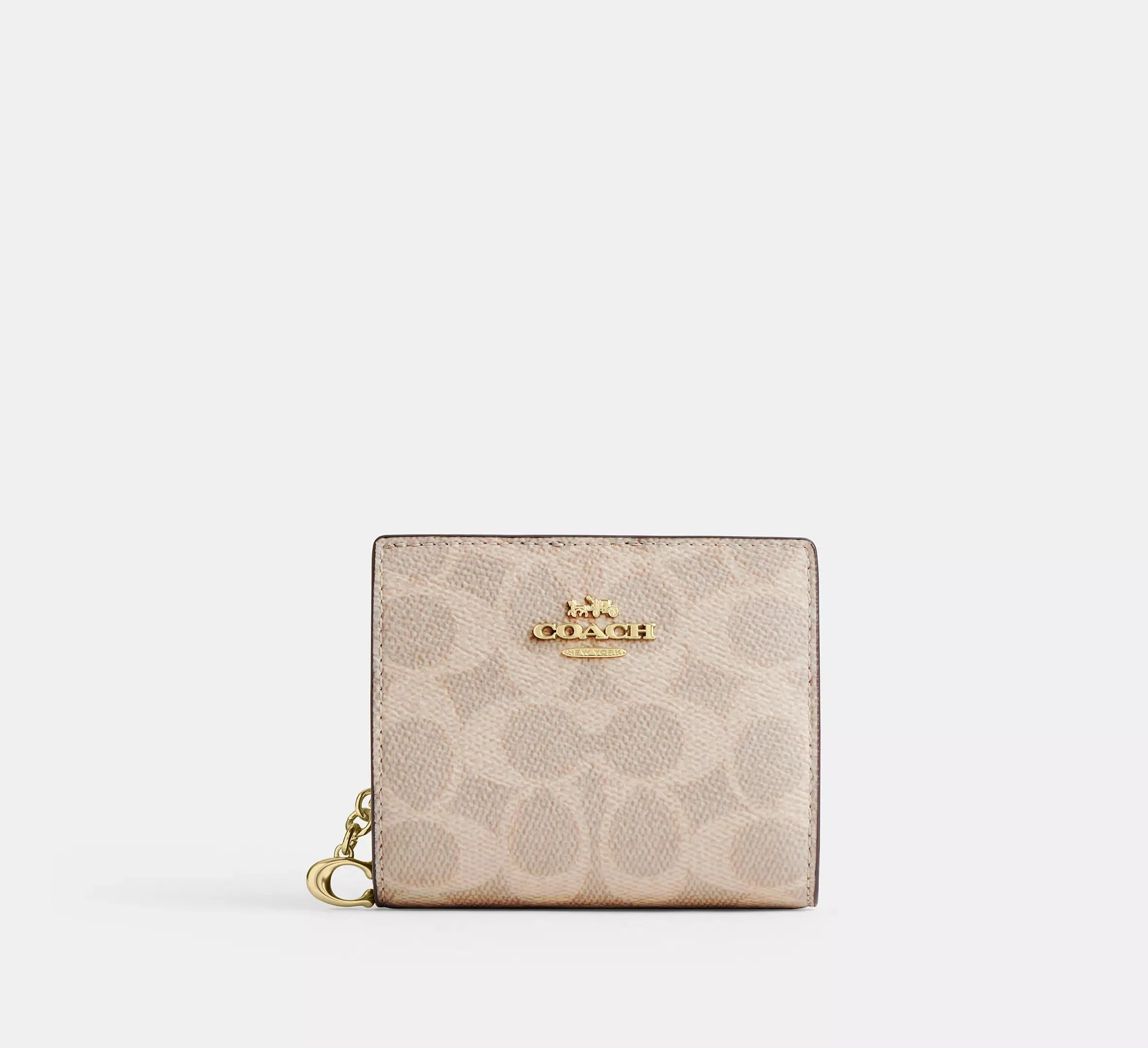 Snap Wallet In Signature Canvas