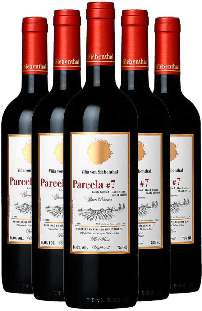 Viña von Siebenthal Parcela #7 2019