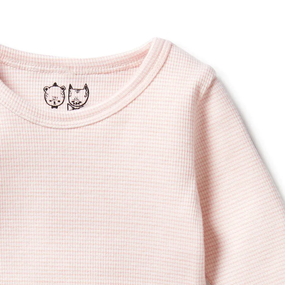 Wilson   Frenchie Organic Stripe Rib Long Sleeve Top - Cantaloupe