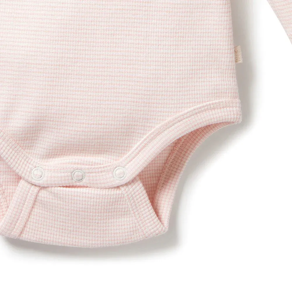 Wilson Frenchy Premmie Body Suit - Cantaloupe