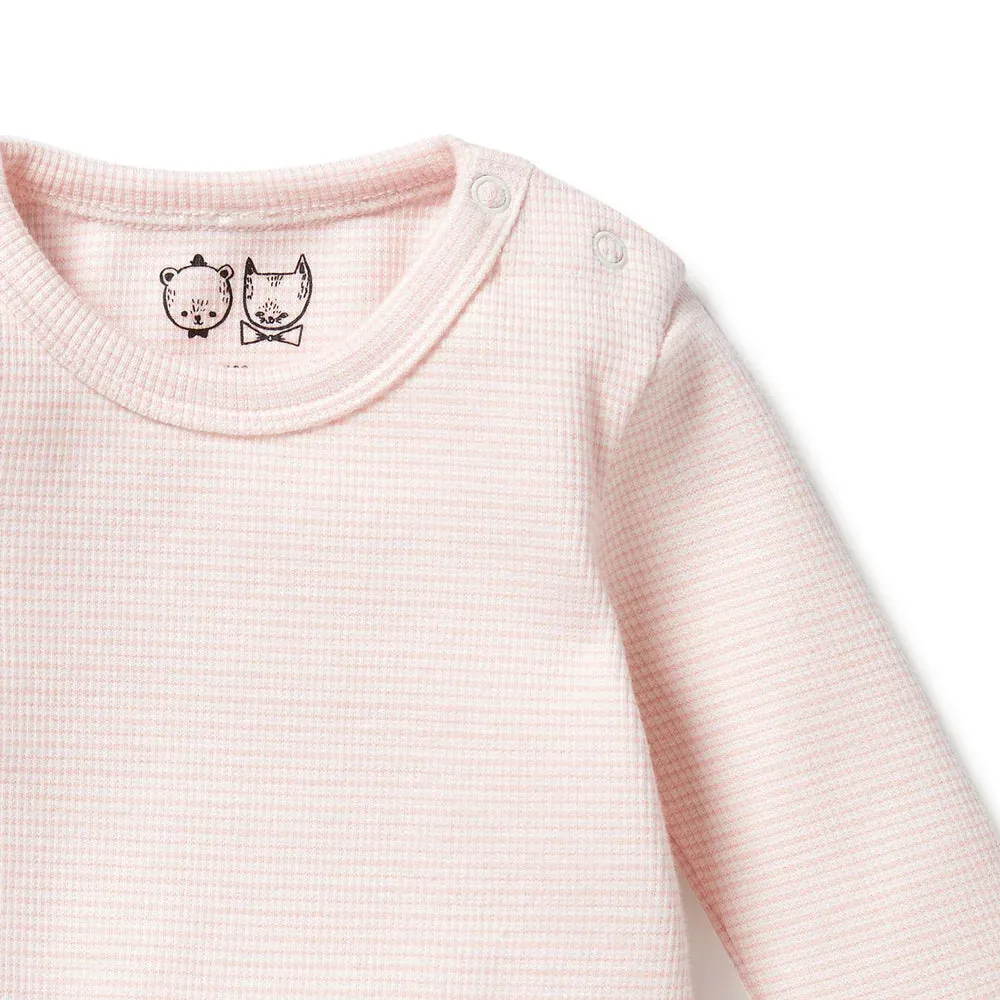 Wilson Frenchy Premmie Body Suit - Cantaloupe